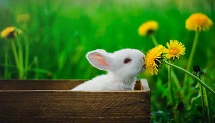 宁波2026年最新杭州高端商务伴游招聘网渠道分享(最方便真实的宁波茉莉伴游伴游天下全国联盟方法)